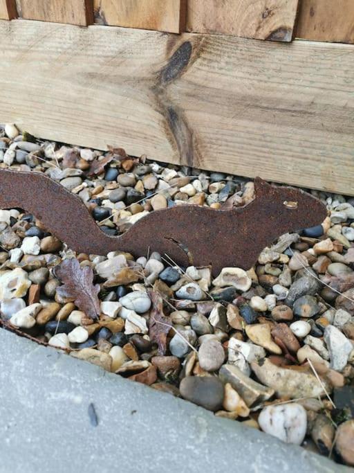 Appartamento The Squirrels- Alresford, Essex Esterno foto