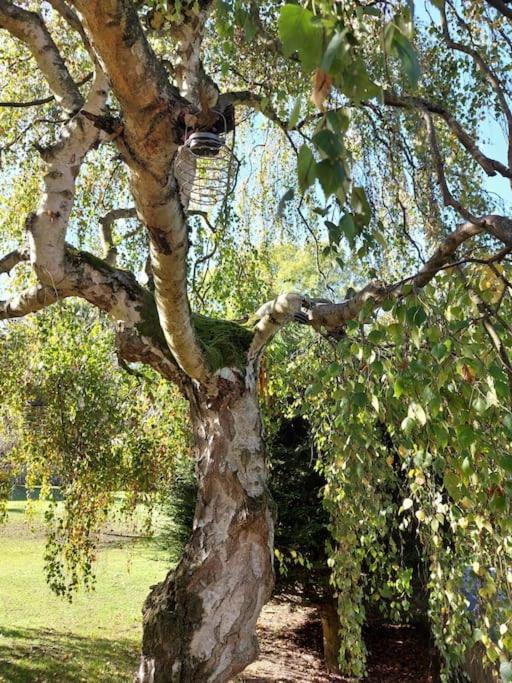 Appartamento The Squirrels- Alresford, Essex Esterno foto