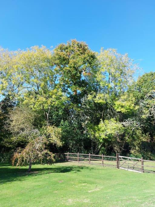 Appartamento The Squirrels- Alresford, Essex Esterno foto